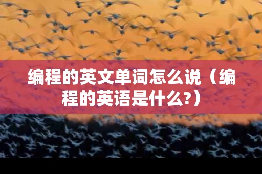 编程的英文单词怎么说（编程的英语是什么?）
