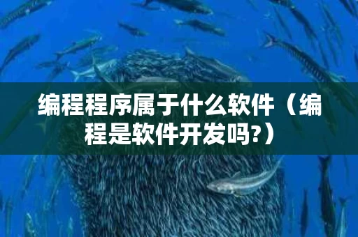 编程程序属于什么软件（编程是软件开发吗?）