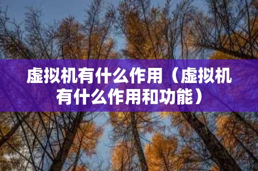 虚拟机有什么作用（虚拟机有什么作用和功能）