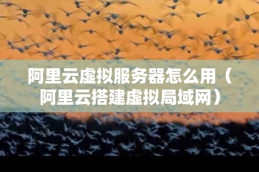 阿里云虚拟服务器怎么用（阿里云搭建虚拟局域网）