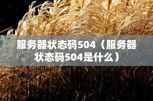服务器状态码504（服务器状态码504是什么）
