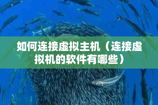 如何连接虚拟主机（连接虚拟机的软件有哪些）