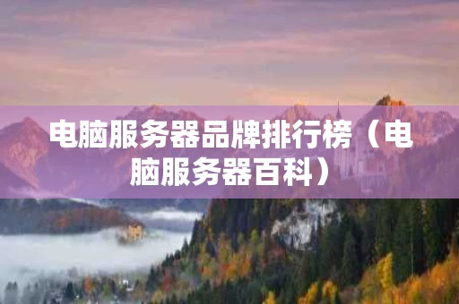 电脑服务器品牌排行榜（电脑服务器百科）