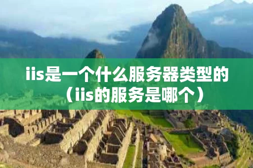 iis是一个什么服务器类型的（iis的服务是哪个）
