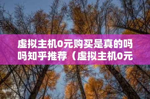 虚拟主机0元购买是真的吗吗知乎推荐（虚拟主机0元购买是真的吗吗知乎推荐）