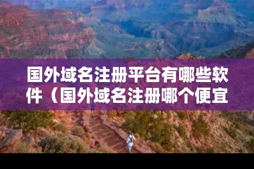 国外域名注册平台有哪些软件（国外域名注册哪个便宜）