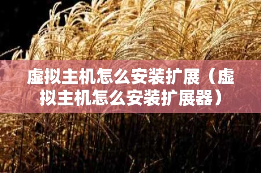 虚拟主机怎么安装扩展（虚拟主机怎么安装扩展器）