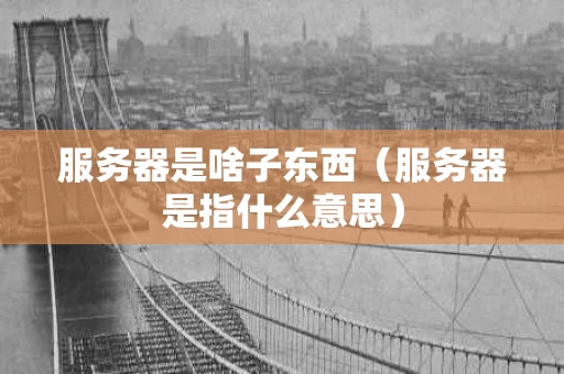 服务器是啥子东西（服务器是指什么意思）