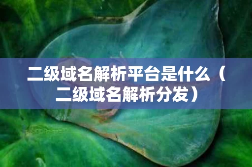 二级域名解析平台是什么（二级域名解析分发）