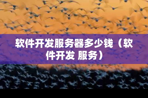 软件开发服务器多少钱（软件开发 服务）
