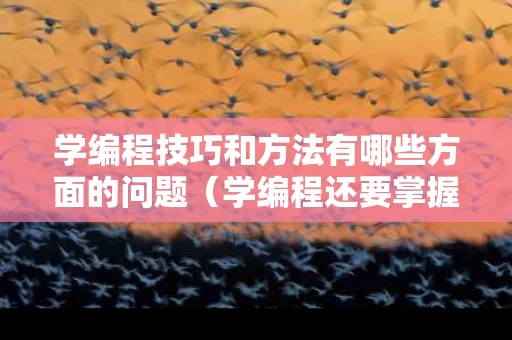 学编程技巧和方法有哪些方面的问题（学编程还要掌握什么知识）
