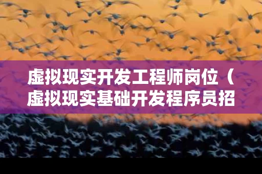 虚拟现实开发工程师岗位（虚拟现实基础开发程序员招聘）