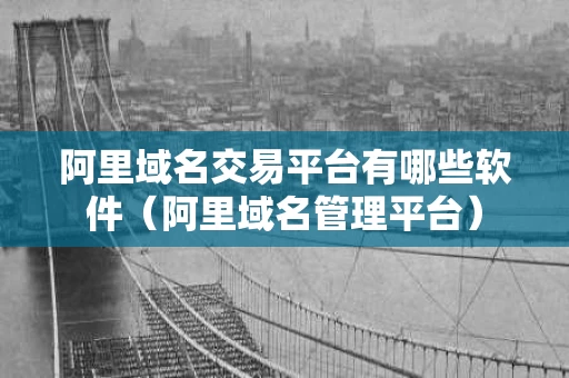 阿里域名交易平台有哪些软件（阿里域名管理平台）