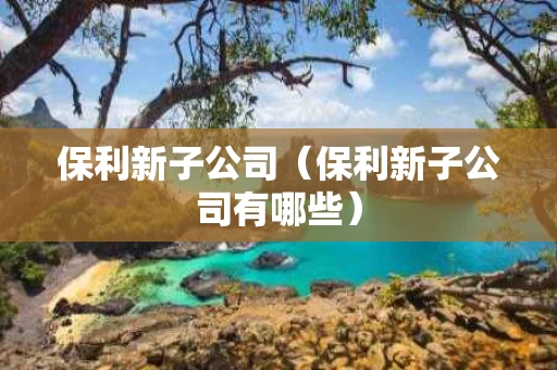 保利新子公司（保利新子公司有哪些）