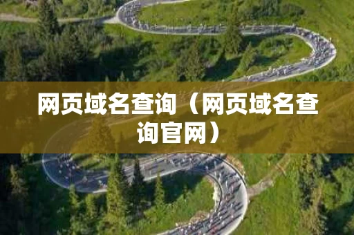 网页域名查询（网页域名查询官网）