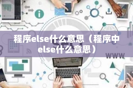 程序else什么意思（程序中else什么意思）