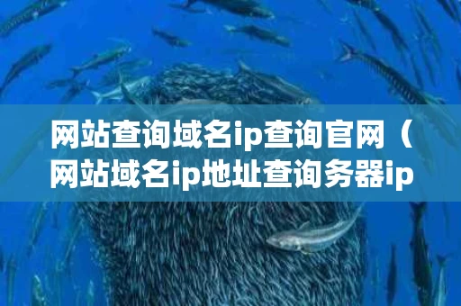 网站查询域名ip查询官网（网站域名ip地址查询务器ip查）
