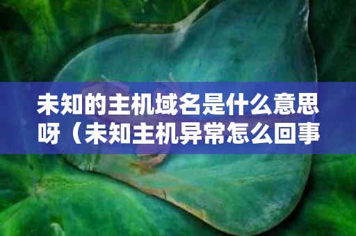 未知的主机域名是什么意思呀（未知主机异常怎么回事）