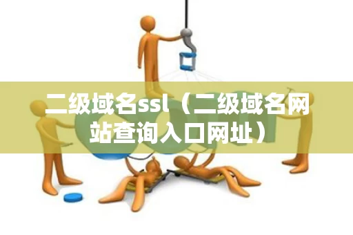 二级域名ssl（二级域名网站查询入口网址）