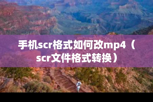 手机scr格式如何改mp4（scr文件格式转换）