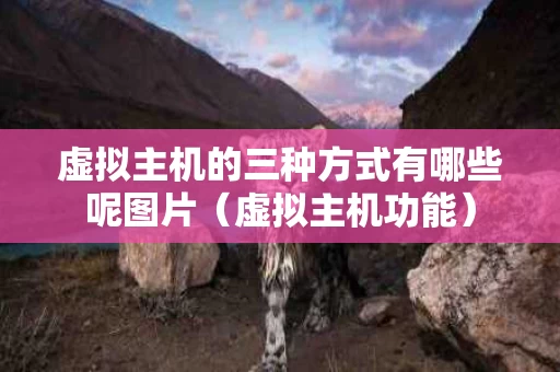 虚拟主机的三种方式有哪些呢图片（虚拟主机功能）