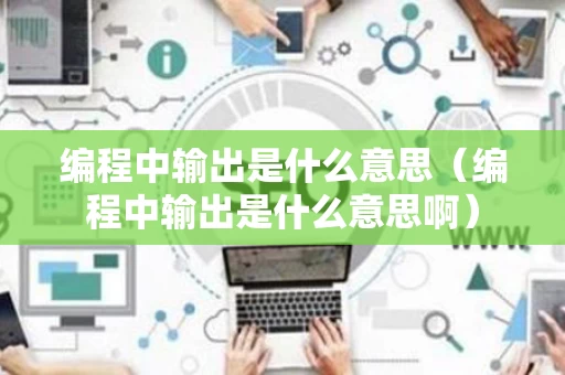 编程中输出是什么意思（编程中输出是什么意思啊）