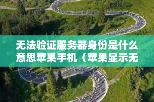 无法验证服务器身份是什么意思苹果手机（苹果显示无法验证服务器身份怎么办）
