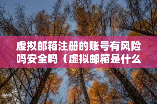 虚拟邮箱注册的账号有风险吗安全吗（虚拟邮箱是什么意思）