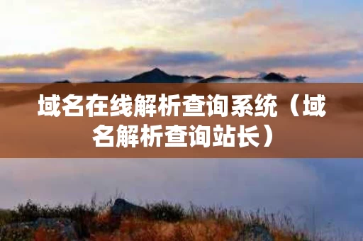 域名在线解析查询系统（域名解析查询站长）