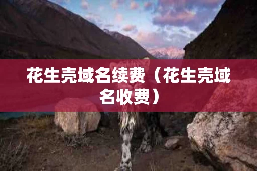 花生壳域名续费（花生壳域名收费）