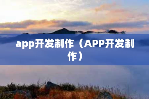 app开发制作（APP开发制作）