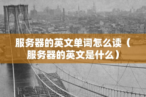 服务器的英文单词怎么读（服务器的英文是什么）