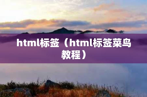 html标签（html标签菜鸟教程）