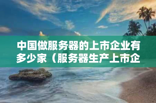 中国做服务器的上市企业有多少家（服务器生产上市企业）