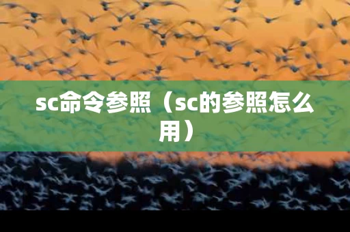 sc命令参照（sc的参照怎么用）