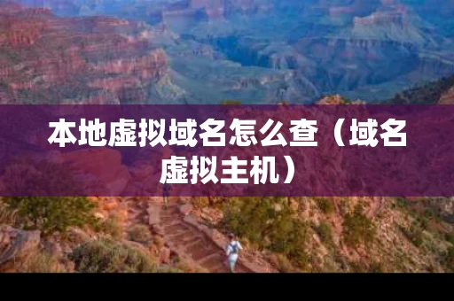 本地虚拟域名怎么查（域名虚拟主机）