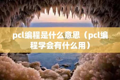 pcl编程是什么意思（pcl编程学会有什么用）