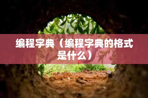 编程字典（编程字典的格式是什么）