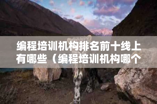 编程培训机构排名前十线上有哪些（编程培训机构哪个比较好）