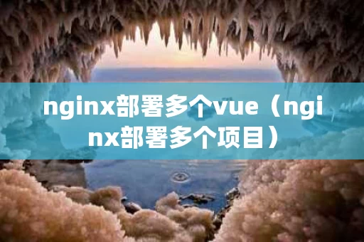 nginx部署多个vue（nginx部署多个项目）