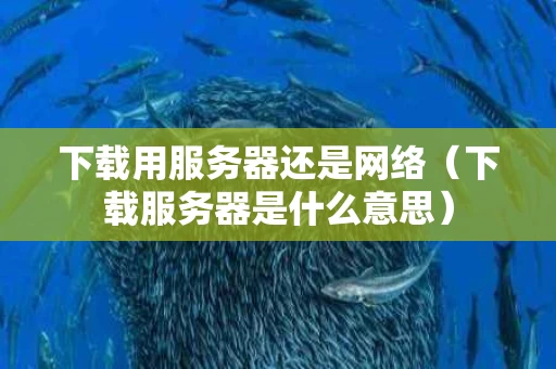 下载用服务器还是网络（下载服务器是什么意思）