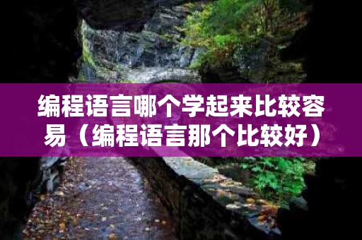 编程语言哪个学起来比较容易（编程语言那个比较好）