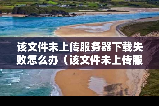 该文件未上传服务器下载失败怎么办（该文件未上传服务器下载失败怎么办）