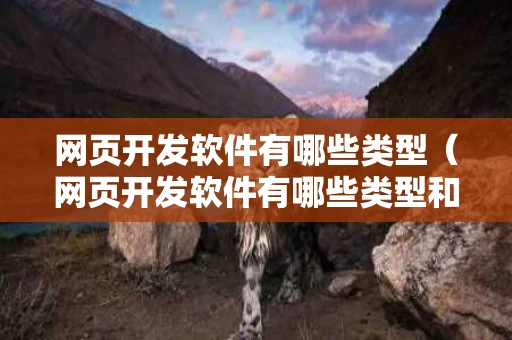 网页开发软件有哪些类型（网页开发软件有哪些类型和功能）