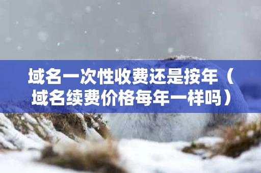 域名一次性收费还是按年（域名续费价格每年一样吗）
