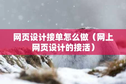 网页设计接单怎么做（网上网页设计的接活）