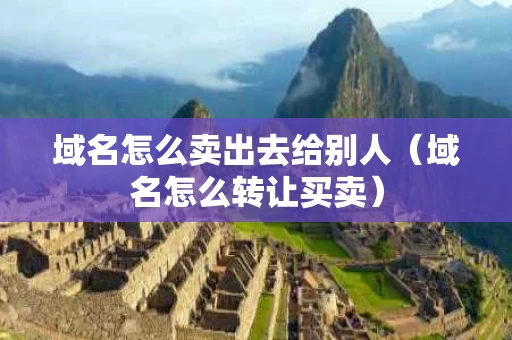 域名怎么卖出去给别人（域名怎么转让买卖）