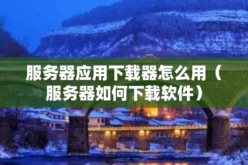 服务器应用下载器怎么用（服务器如何下载软件）