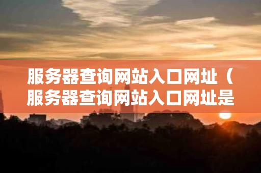 服务器查询网站入口网址（服务器查询网站入口网址是什么）