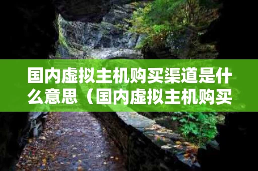 国内虚拟主机购买渠道是什么意思（国内虚拟主机购买渠道是什么意思啊）